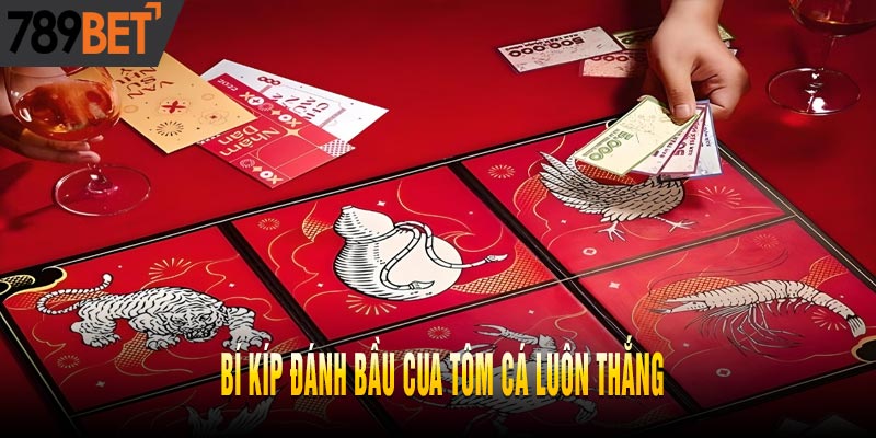 Cách chơi chi tiết dành cho người mới 